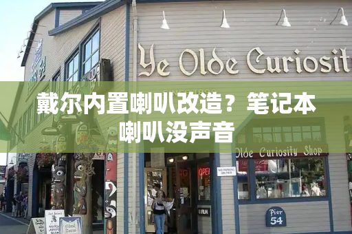 戴尔内置喇叭改造？笔记本喇叭没声音