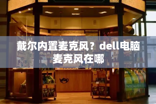 戴尔内置麦克风？dell电脑麦克风在哪-第1张图片-星选测评