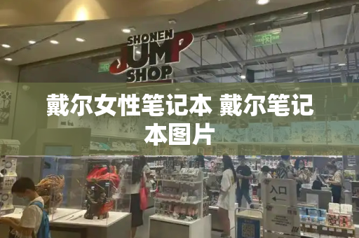 戴尔女性笔记本 戴尔笔记本图片
