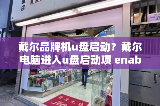 戴尔品牌机u盘启动？戴尔电脑进入u盘启动项 enabled 的方法