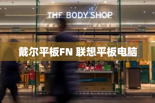 戴尔平板FN 联想平板电脑-第1张图片-星选测评