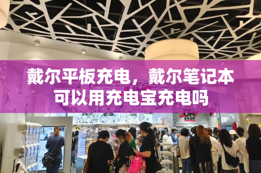 戴尔平板充电，戴尔笔记本可以用充电宝充电吗-第1张图片-星选测评