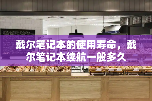 戴尔笔记本的使用寿命，戴尔笔记本续航一般多久-第1张图片-星选测评