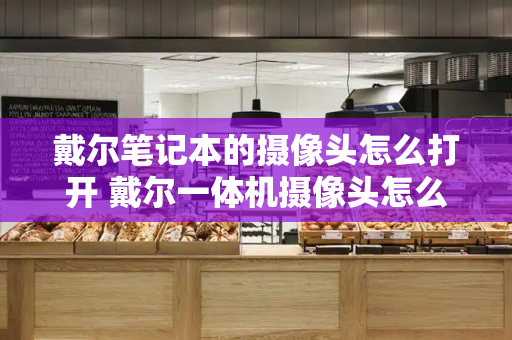 戴尔笔记本的摄像头怎么打开 戴尔一体机摄像头怎么弹出来