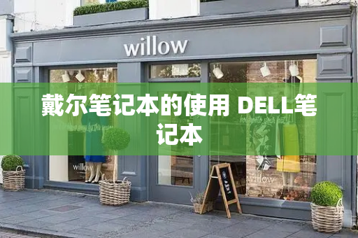 戴尔笔记本的使用 DELL笔记本-第1张图片-星选测评