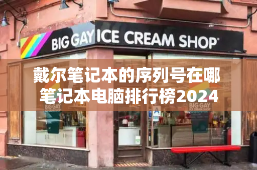 戴尔笔记本的序列号在哪 笔记本电脑排行榜2024
