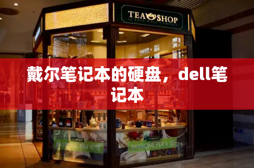 戴尔笔记本的硬盘，dell笔记本-第1张图片-星选测评