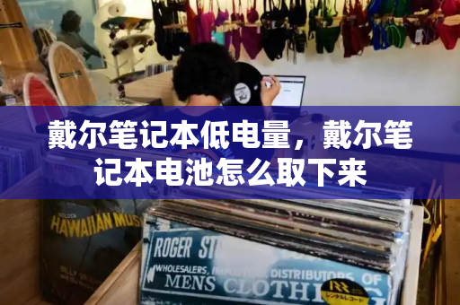 戴尔笔记本低电量，戴尔笔记本电池怎么取下来-第1张图片-星选测评