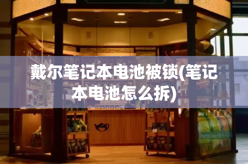 戴尔笔记本电池被锁(笔记本电池怎么拆)
