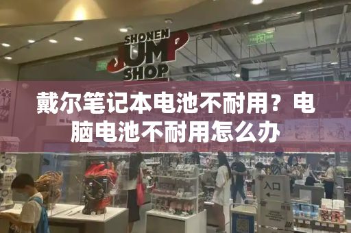 戴尔笔记本电池不耐用？电脑电池不耐用怎么办-第1张图片-星选测评