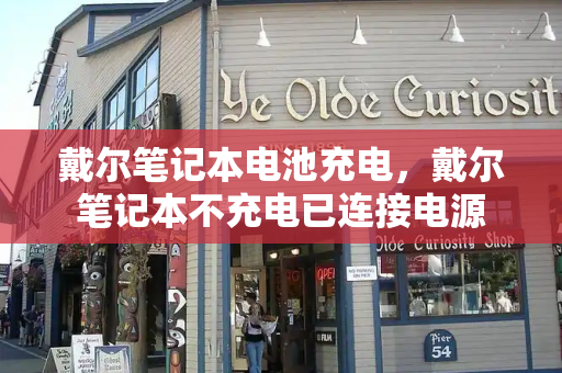 戴尔笔记本电池充电，戴尔笔记本不充电已连接电源-第1张图片-星选测评