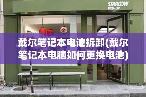戴尔笔记本电池拆卸(戴尔笔记本电脑如何更换电池)-第1张图片-星选测评
