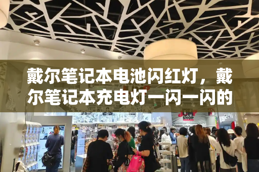 戴尔笔记本电池闪红灯，戴尔笔记本充电灯一闪一闪的