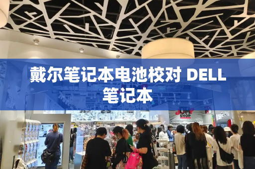 戴尔笔记本电池校对 DELL笔记本-第1张图片-星选测评