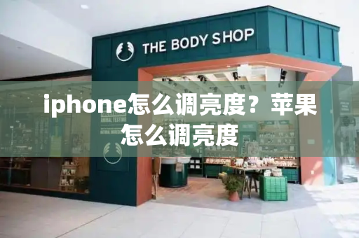 iphone怎么调亮度？苹果怎么调亮度-第1张图片-星选测评