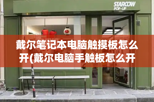 戴尔笔记本电脑触摸板怎么开(戴尔电脑手触板怎么开启)-第1张图片-星选测评