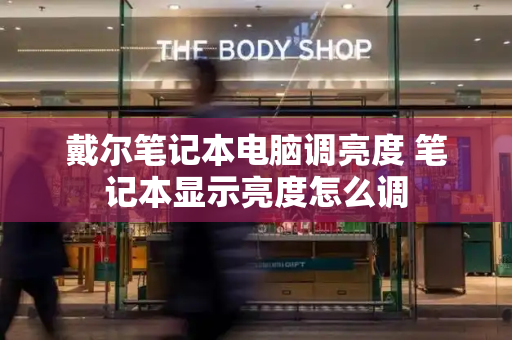 戴尔笔记本电脑调亮度 笔记本显示亮度怎么调-第1张图片-星选测评
