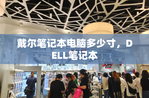 戴尔笔记本电脑多少寸，DELL笔记本