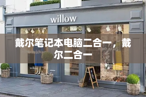 戴尔笔记本电脑二合一，戴尔二合一