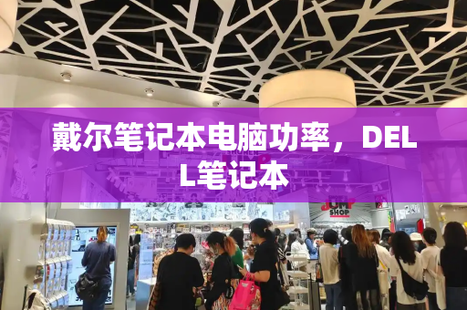 戴尔笔记本电脑功率，DELL笔记本-第1张图片-星选测评
