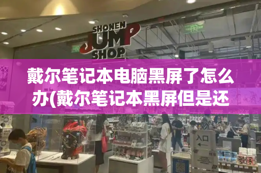 戴尔笔记本电脑黑屏了怎么办(戴尔笔记本黑屏但是还运作怎么办)-第1张图片-星选测评