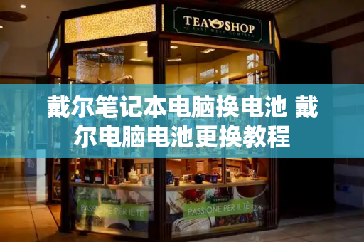 戴尔笔记本电脑换电池 戴尔电脑电池更换教程-第1张图片-星选测评