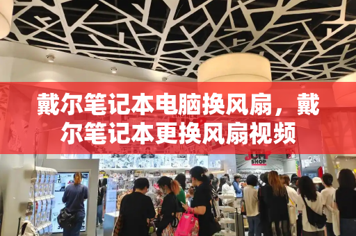 戴尔笔记本电脑换风扇，戴尔笔记本更换风扇视频-第1张图片-星选测评