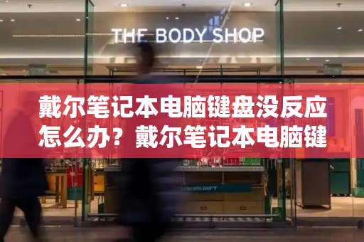 戴尔笔记本电脑键盘没反应怎么办？戴尔笔记本电脑键盘拆卸教程-第1张图片-星选测评