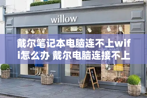 戴尔笔记本电脑连不上wifi怎么办 戴尔电脑连接不上网络怎么办-第1张图片-星选测评