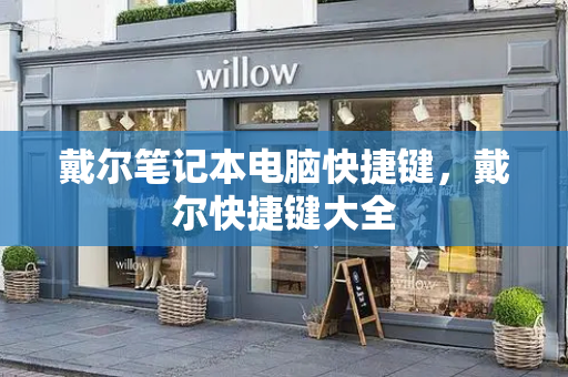 戴尔笔记本电脑快捷键，戴尔快捷键大全-第1张图片-星选测评