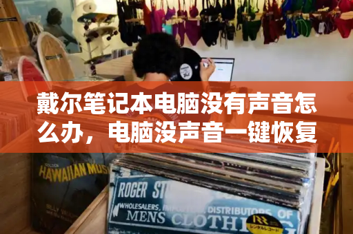 戴尔笔记本电脑没有声音怎么办，电脑没声音一键恢复-第1张图片-星选测评