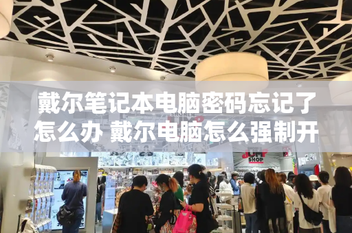 戴尔笔记本电脑密码忘记了怎么办 戴尔电脑怎么强制开机