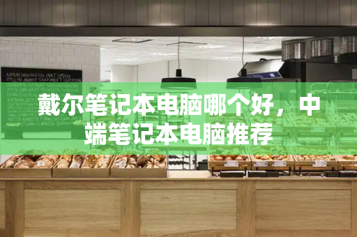 戴尔笔记本电脑哪个好，中端笔记本电脑推荐-第1张图片-星选测评