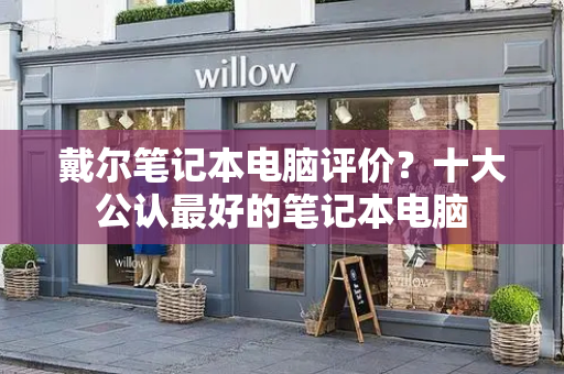 戴尔笔记本电脑评价？十大公认最好的笔记本电脑-第1张图片-星选测评