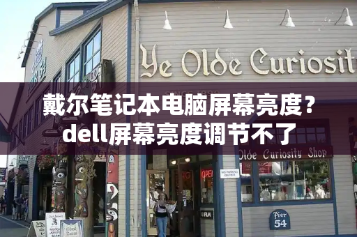 戴尔笔记本电脑屏幕亮度？dell屏幕亮度调节不了