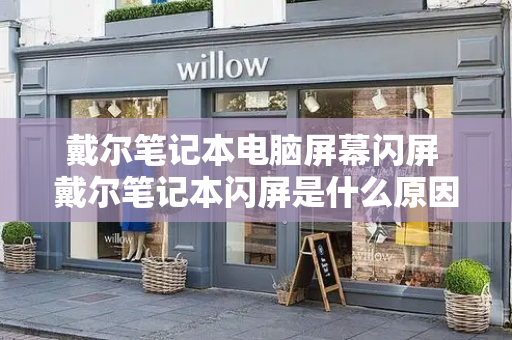 戴尔笔记本电脑屏幕闪屏 戴尔笔记本闪屏是什么原因-第1张图片-星选测评