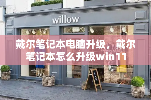 戴尔笔记本电脑升级，戴尔笔记本怎么升级win11-第1张图片-星选测评