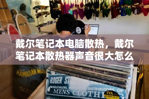 戴尔笔记本电脑散热，戴尔笔记本散热器声音很大怎么办-第1张图片-星选测评