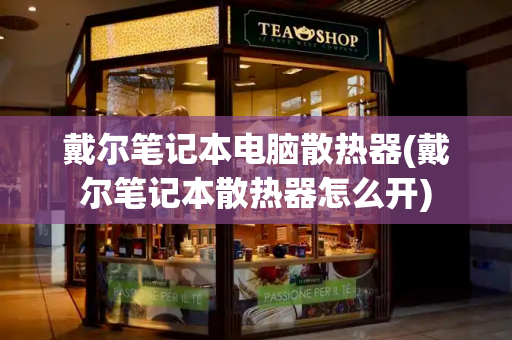 戴尔笔记本电脑散热器(戴尔笔记本散热器怎么开)