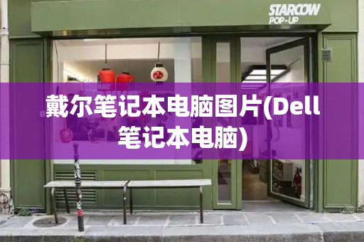 戴尔笔记本电脑图片(Dell笔记本电脑)-第1张图片-星选测评