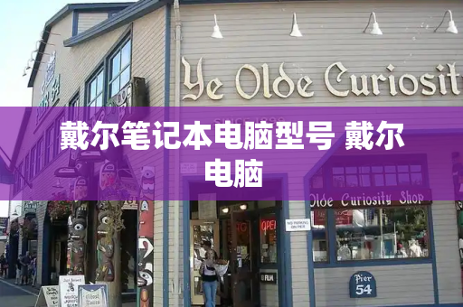 戴尔笔记本电脑型号 戴尔电脑-第1张图片-星选测评