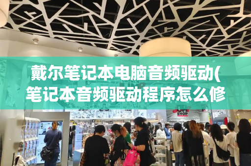 戴尔笔记本电脑音频驱动(笔记本音频驱动程序怎么修复)
