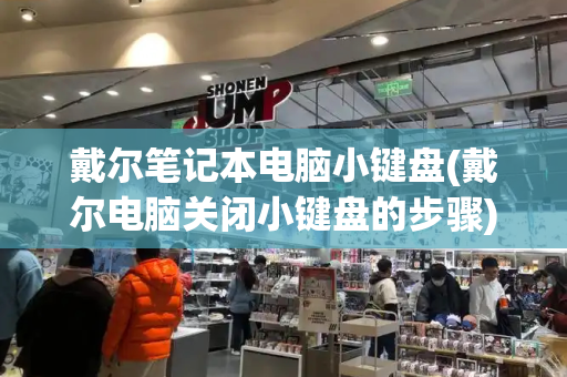 戴尔笔记本电脑小键盘(戴尔电脑关闭小键盘的步骤)-第1张图片-星选测评