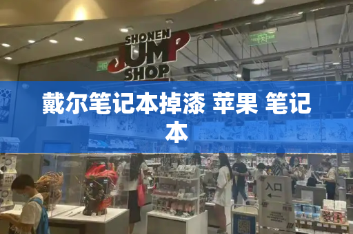 戴尔笔记本掉漆 苹果 笔记本-第1张图片-星选测评