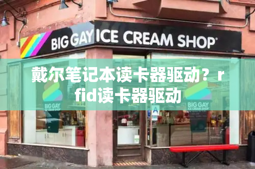 戴尔笔记本读卡器驱动？rfid读卡器驱动-第1张图片-星选测评