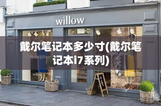 戴尔笔记本多少寸(戴尔笔记本i7系列)-第1张图片-星选测评