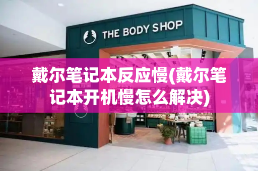 戴尔笔记本反应慢(戴尔笔记本开机慢怎么解决)-第1张图片-星选测评