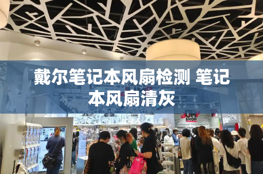 戴尔笔记本风扇检测 笔记本风扇清灰-第1张图片-星选测评