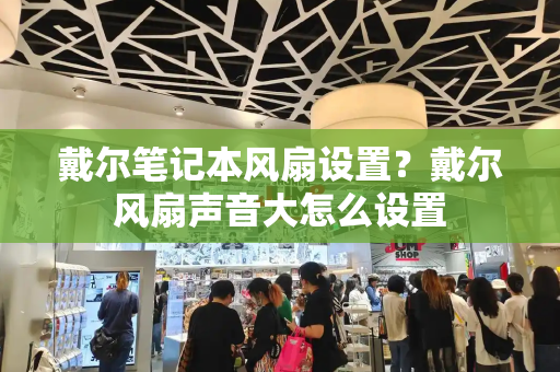戴尔笔记本风扇设置？戴尔风扇声音大怎么设置-第1张图片-星选测评