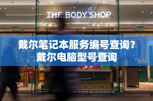 戴尔笔记本服务编号查询？戴尔电脑型号查询-第1张图片-星选测评
